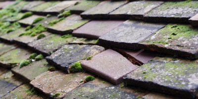 Ovington roof repair costs